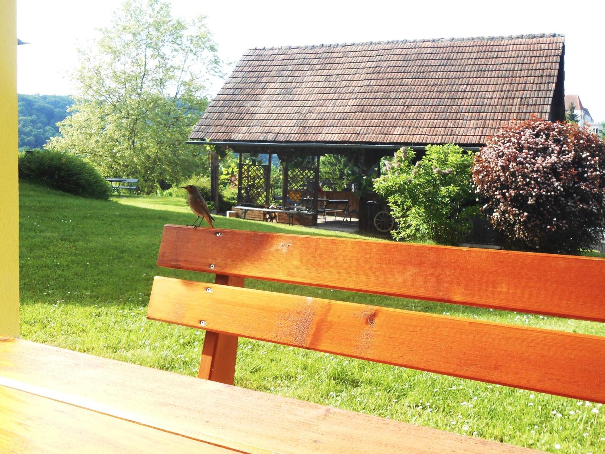 Ferienwohnungen Karin Am Seggauberg Leibnitz Exterior foto