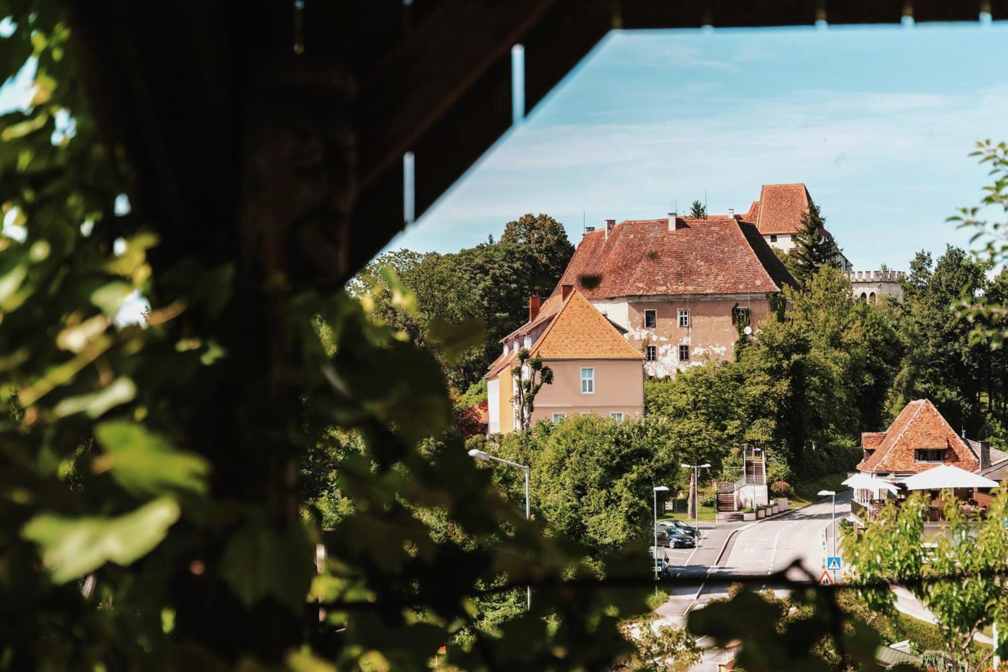 Ferienwohnungen Karin Am Seggauberg Leibnitz Exterior foto